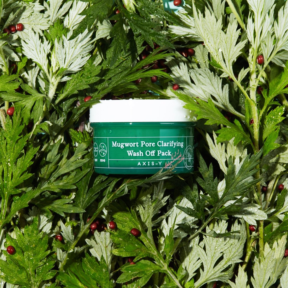 AXIS Y Mugwort pore clarifying wash off pack 100mlClay MaskGlam Secret